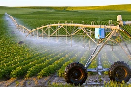 Sciences et technologies, nouveau souffle pour l’agriculture vietnamienne