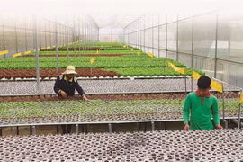 L’agriculture high-tech, clé de la restructuration économique