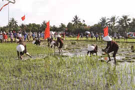 Une fête de descente aux champs pour aider l’agriculture à fleurir
