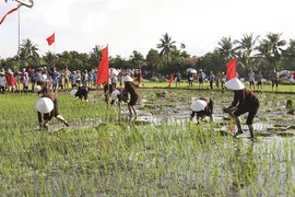 Une fête de descente aux champs pour aider l’agriculture à fleurir