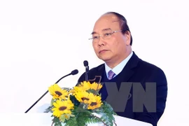 L'agriculture biologique - une partie importante de l'agriculture du Vietnam