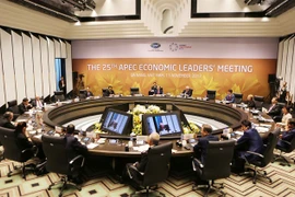 L’APEC 2017 a rehaussé le rôle et la position internationaux du Vietnam