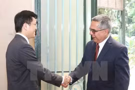 Une délégation du ministère cubain des AE au Vietnam