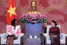 Promotion de la coopération Vietnam – Mozambique