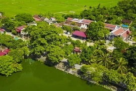 Ninh Binh renforce le programme d’édification de la nouvelle ruralité
