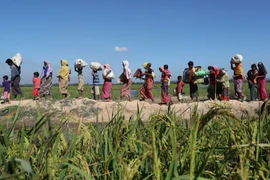 Le Bangladesh et le Myanmar discutent du rapatriement des Rohingya 