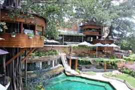 Le café qui se perche sur des arbres séculaires à Hô Chi Minh-Ville