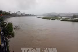 Crues: 12 personnes mortes à Thanh Hoa et Son La