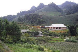 À Son La, immersion dans le village H'mông de Hua Tat