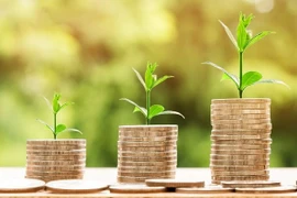 Deux start-ups vietnamiens reçoivent des capitaux étrangers
