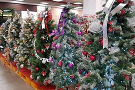 La magie de Noël s’empare de la mégapole du Sud