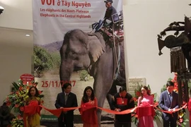 Les éléphants des Hauts Plateaux du Centre stars d’une exposition à Hanoi