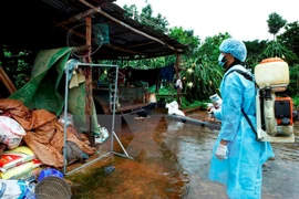 Le PM demande de renforcer la lutte contre la dengue