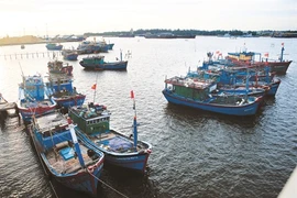 Le Vietnam s’efforce d’aller vers une pêche durable