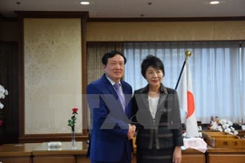 Justice: le Japon poursuivre sa coopération intégrale avec le Vietnam