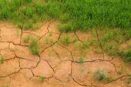 Environnement : le Vietnam partage ses politiques lors d'un sommet régional 