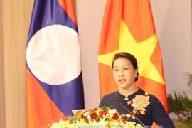 Vietnam-Laos : Du rôle des députées dans les activités parlementaires