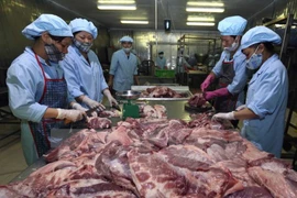 Filière porcine : le Vietnam s’intéresse aux expériences danoises