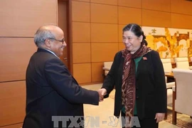Tong Thi Phong reçoit le représentant de l’UNICEF au Vietnam