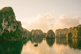 Préserver et valoriser les patrimoines culturels vietnamiens