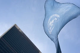 La réforme du système de l’ONU pour le développement en débat