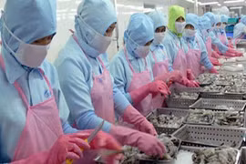 Pour accélérer les exportations des produits vietnamiens en République de Corée