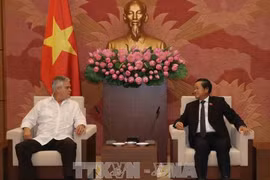 Le vice-président de l’AN Dô Ba Ty reçoit un reponsable cubain