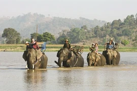 Les petits plaisirs d’une balade à dos d’éléphant à Buôn Dôn