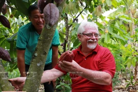 Le belge Belvie Chocolate fond de plaisir pour le cacao vietnamien