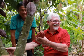 Le belge Belvie Chocolate fond de plaisir pour le cacao vietnamien