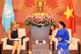 Les relations entre le Vietnam et les Pays-Bas sont typiques et efficaces