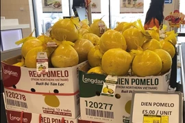 Les produits agricoles vietnamiens s'implantent sur le marché britannique