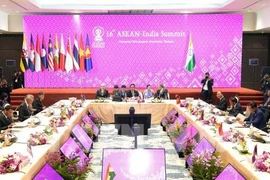 Sommet de l’ASEAN : le PM vietnamien au 16e Sommet ASEAN-Inde