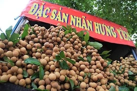La Foire de promotion du commerce du longane à Hung Yen