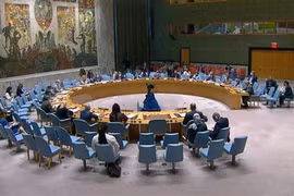 Le Vietnam apprécie les contributions de la MINUAD à la situation au Darfour