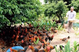 Bac Giang s’intéresse à l’essor socio-économique des ethnies minoritaires