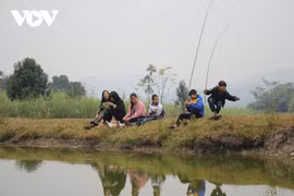 Vu Thi Dung, l'ange gardien des orphelins