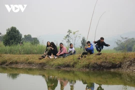 Vu Thi Dung, l'ange gardien des orphelins