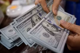 4,7 milliards de devises étrangères transférées à Ho Chi Minh-Ville en dix mois