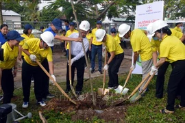 Lancement d'un programme de plantation d'arbres à Soc Trang