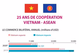 Vietnam-ASEAN : 25 ans de coopération