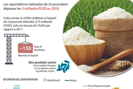 Les exportations nationales de riz pourraient dépasser les 3 milliards d’USD en 2018