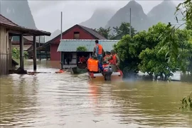 Les Pays-Bas viennent en aide aux habitants des zones inondées à Quang Nam