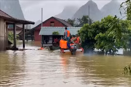 Les Pays-Bas viennent en aide aux habitants des zones inondées à Quang Nam