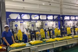 Can Tho prépare le premier lot de riz à exporter vers l'UE avec une taxe de 0%