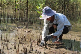 Lancement de deux rapports sur les impacts du changement climatique et l’adaptation du Vietnam