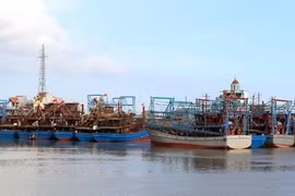 Lutte contre la pêche INN : Nam Dinh contrôle strictement les bateaux de pêche aux ports