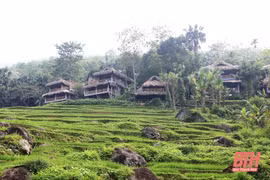 Thanh Hoa développe le tourisme dans les parcs nationaux et les réserves naturelles