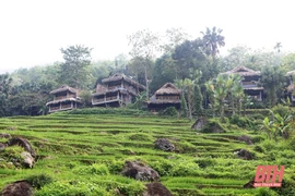 Thanh Hoa développe le tourisme dans les parcs nationaux et les réserves naturelles