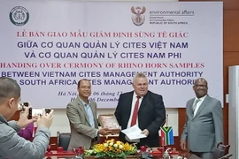Vietnam : livraison des cornes de rhinocéros saisis à l’aéroport Noi Bai pour l’Afrique du Sud